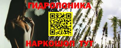 2c-b Кингисепп