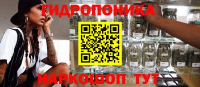 крисы Комсомольск-на-Амуре