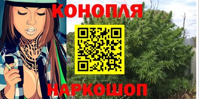 стафф Кинель