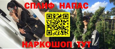 стафф Кинель