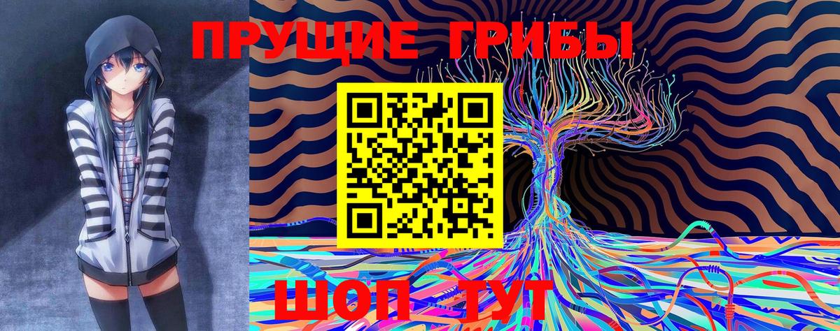 Кириши  Галлюциногенные грибы Cubensis  Вход с VPN 