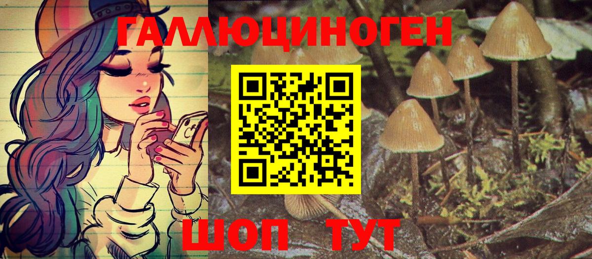 Галлюциногенные грибы Psilocybe Кириши
